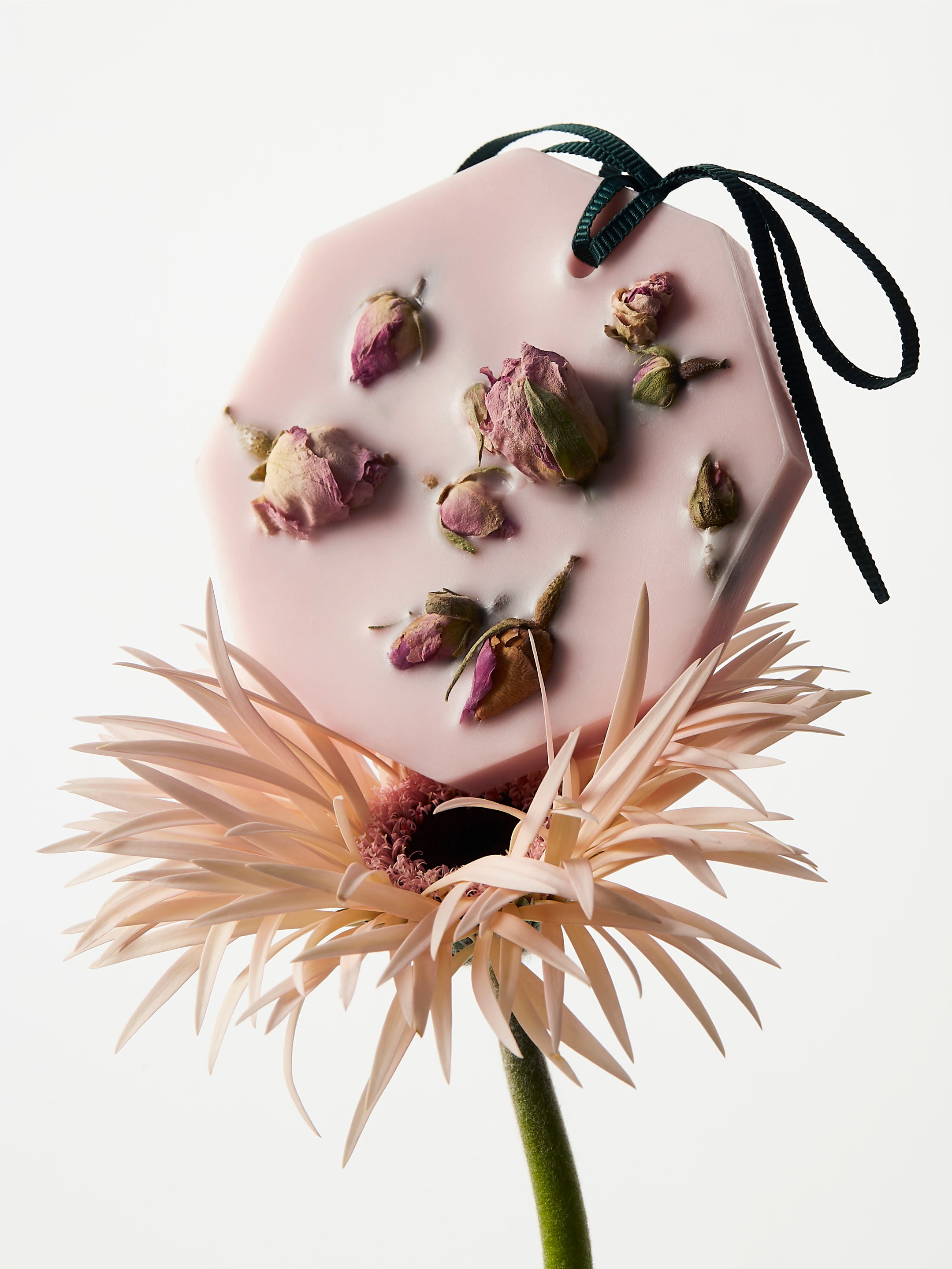 La Rose Aime La Menthe Botanical Palets