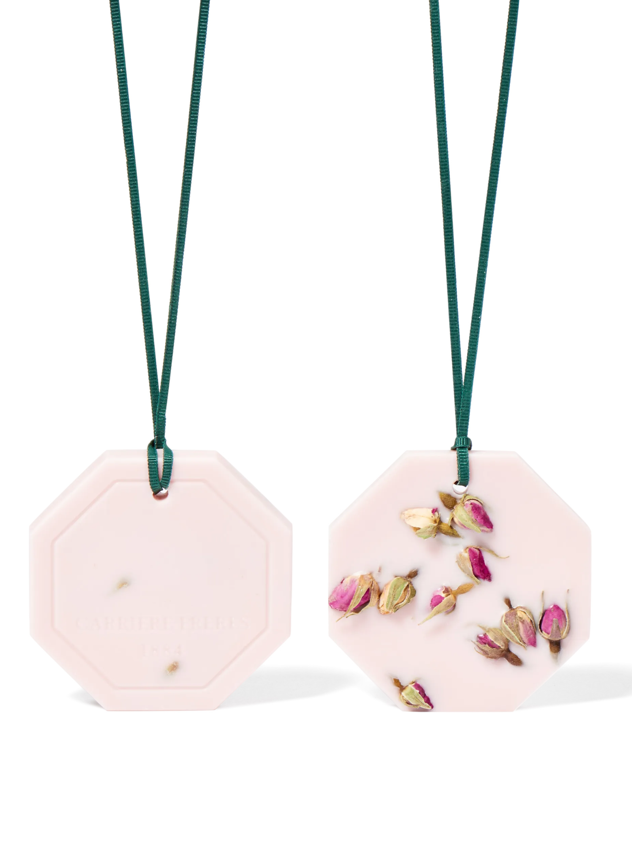 La Rose Aime La Menthe Botanical Palets