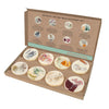 Elements Discovery Set - Botanical Scented Soy Wax Melts Gift Set