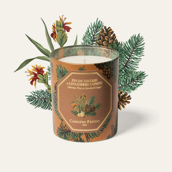 Siberian Pine & Candied Ginger Scented Candle