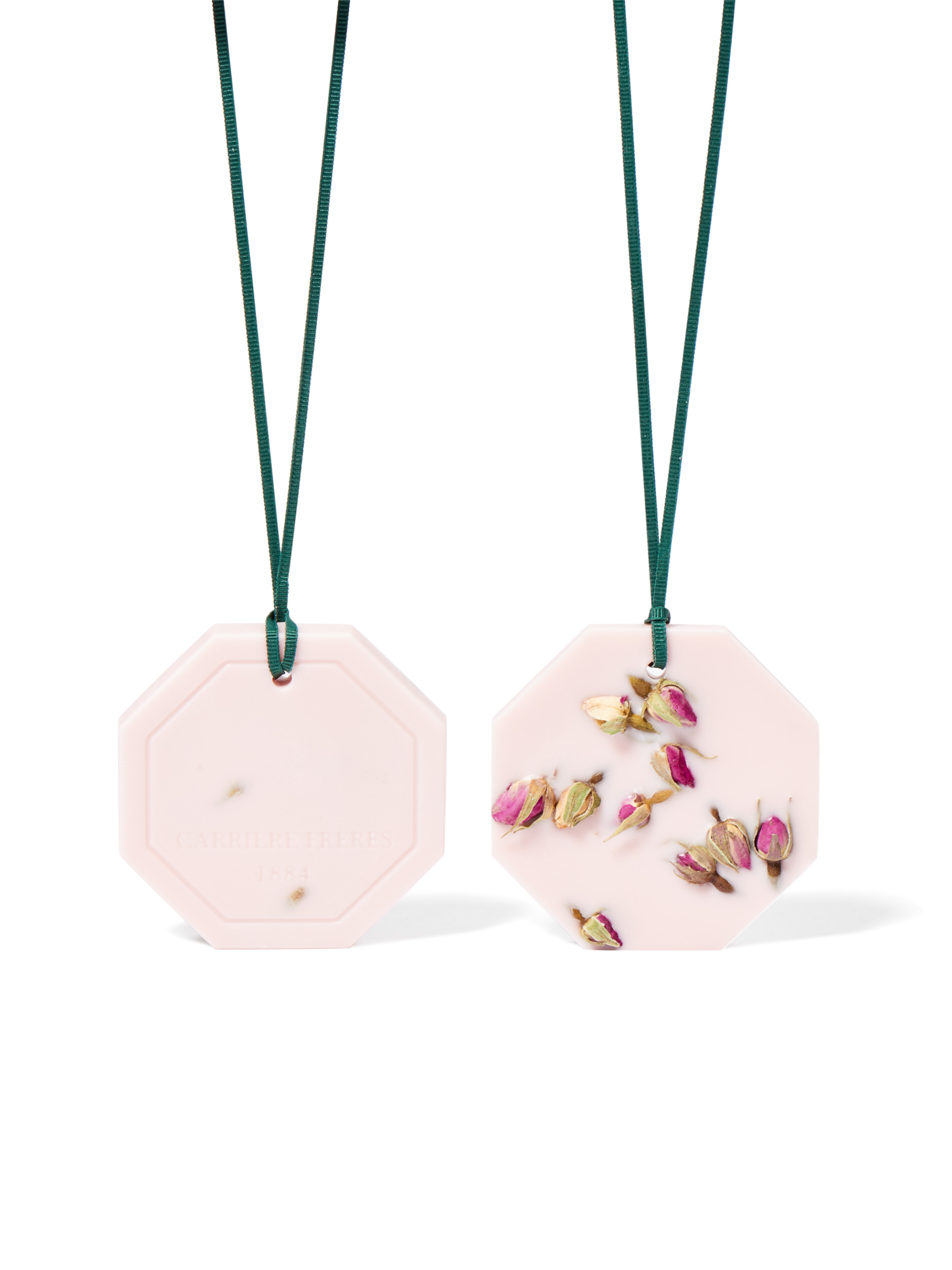 La Rose Aime La Menthe Botanical Palets