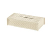 Riviere Woven Rectangular Box (Ivory)